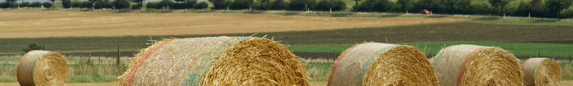 Straw Bales On A Field Ns 05864